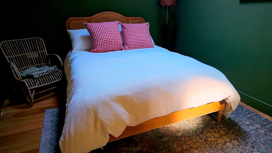Bedroom with a wooden floor and patterned rug