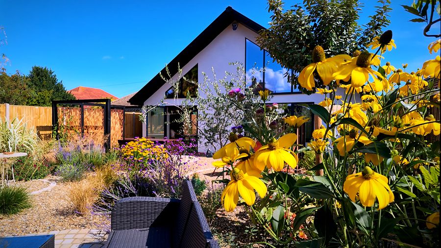 Rear gable and glazing framed by summer planting